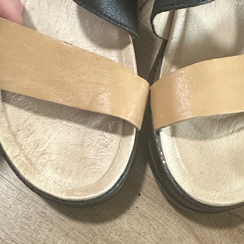 Jambu Black and Tan Strappy Ankle-Buckle Sandals - Picture 11 of 14